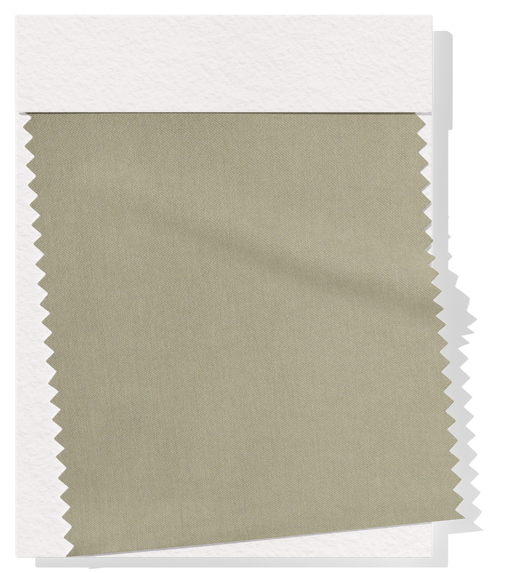 Bengaline $12.00 p/m - Beige