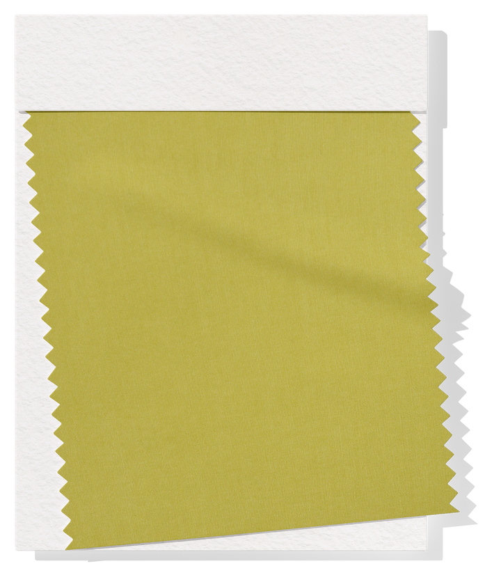 Bengaline $12.00 p/m - Lime