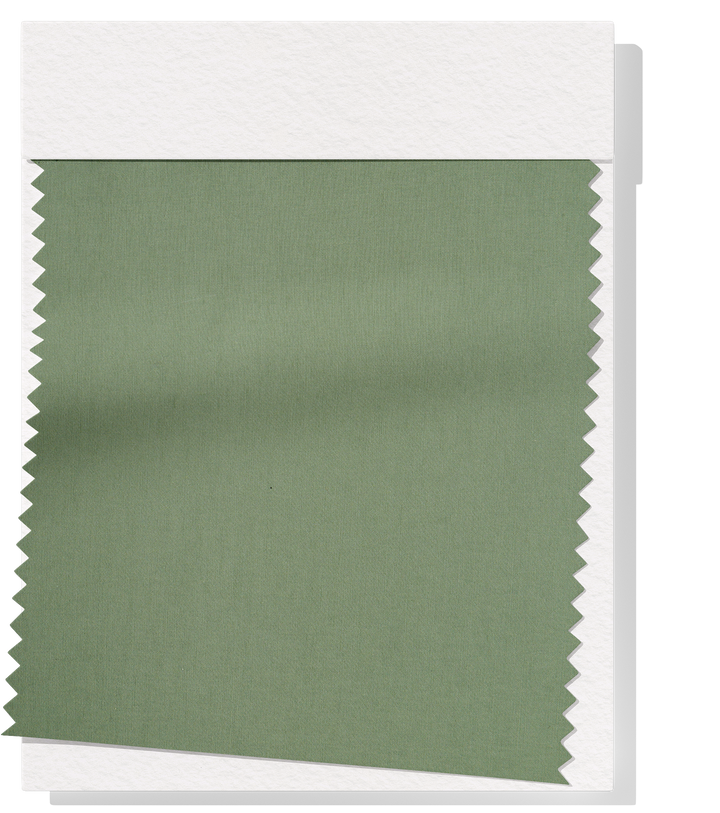 Bengaline $12.00 p/m - Sage